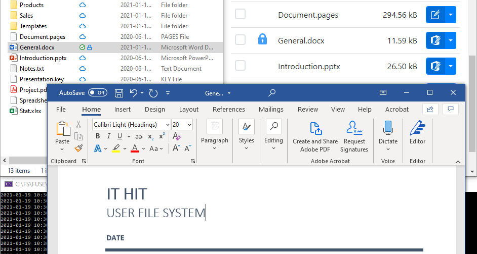 WebDAV Drive automatically locks Microsoft office document when it is being opened for editing and unlocks when closed.