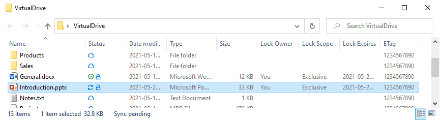 Virtual Drive custom columns being displayed in Windows File Manger