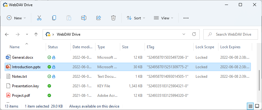 Custom columns provider shell extension for virtual file system